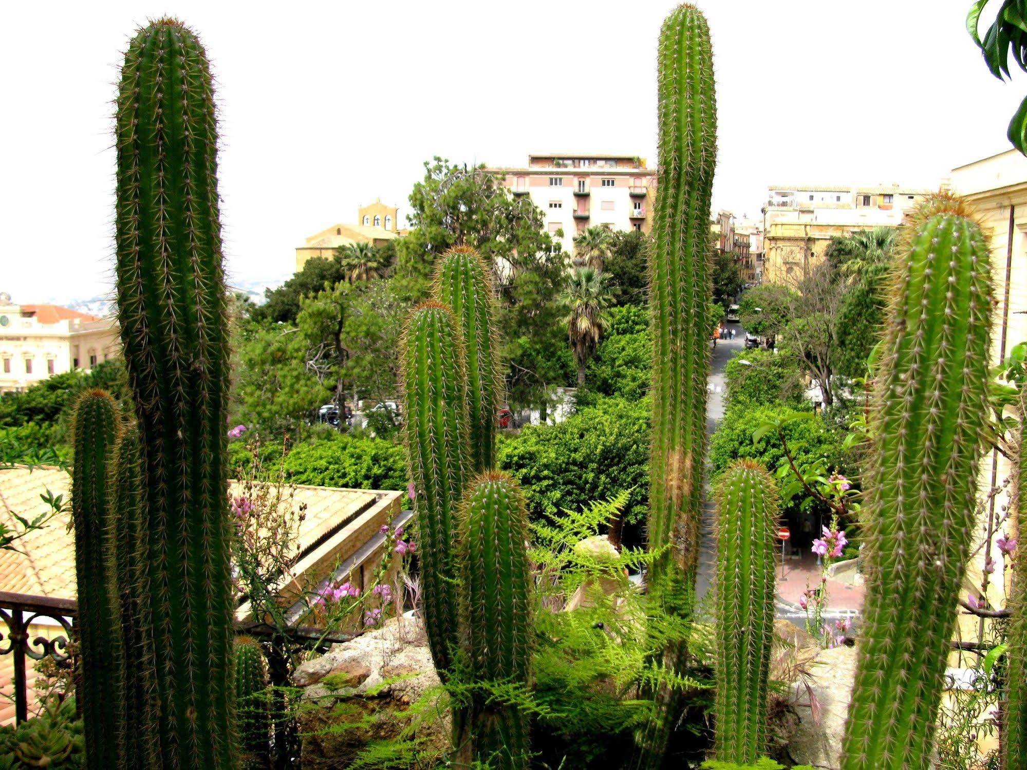 Bed & Breakfast Le Palme Agrigento Exterior foto